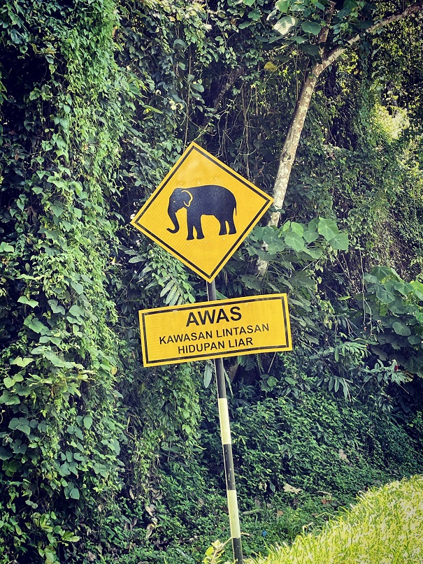 Elefantenschild Malaysia