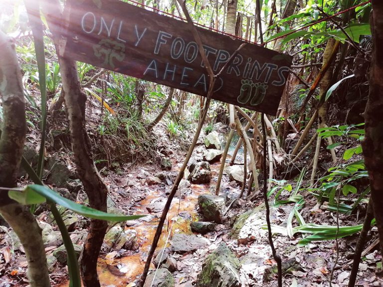 Weg Dschungel Pulau Kapas