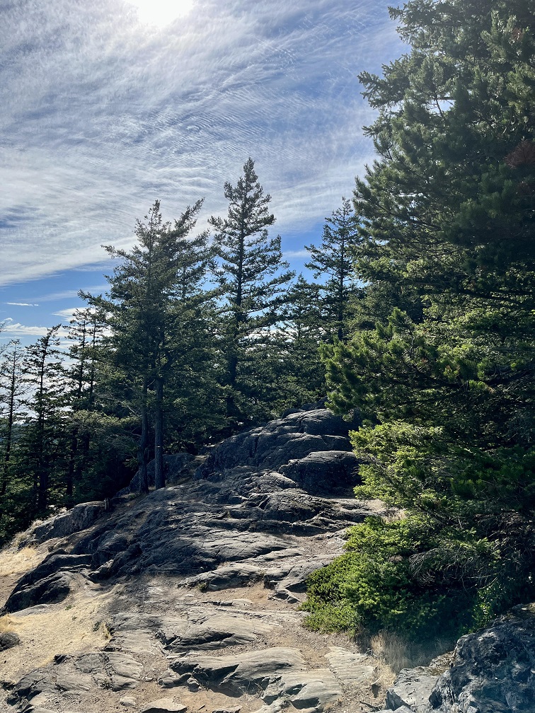 Mount Erie Summit Trail