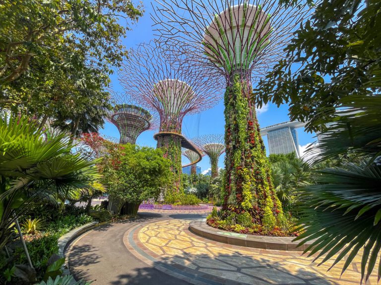 Super Trees Garens by the Bay